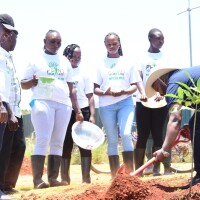 Plant your Age 2024 Tatu City