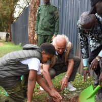 PLANTYOURAGE2502 DR Green Adriano