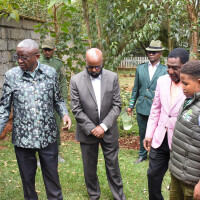 PLANTYOURAGE2504 Dr green Omar Simon Champion