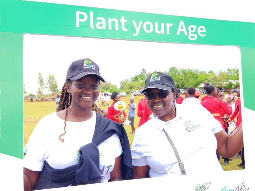 Plant Your Age38