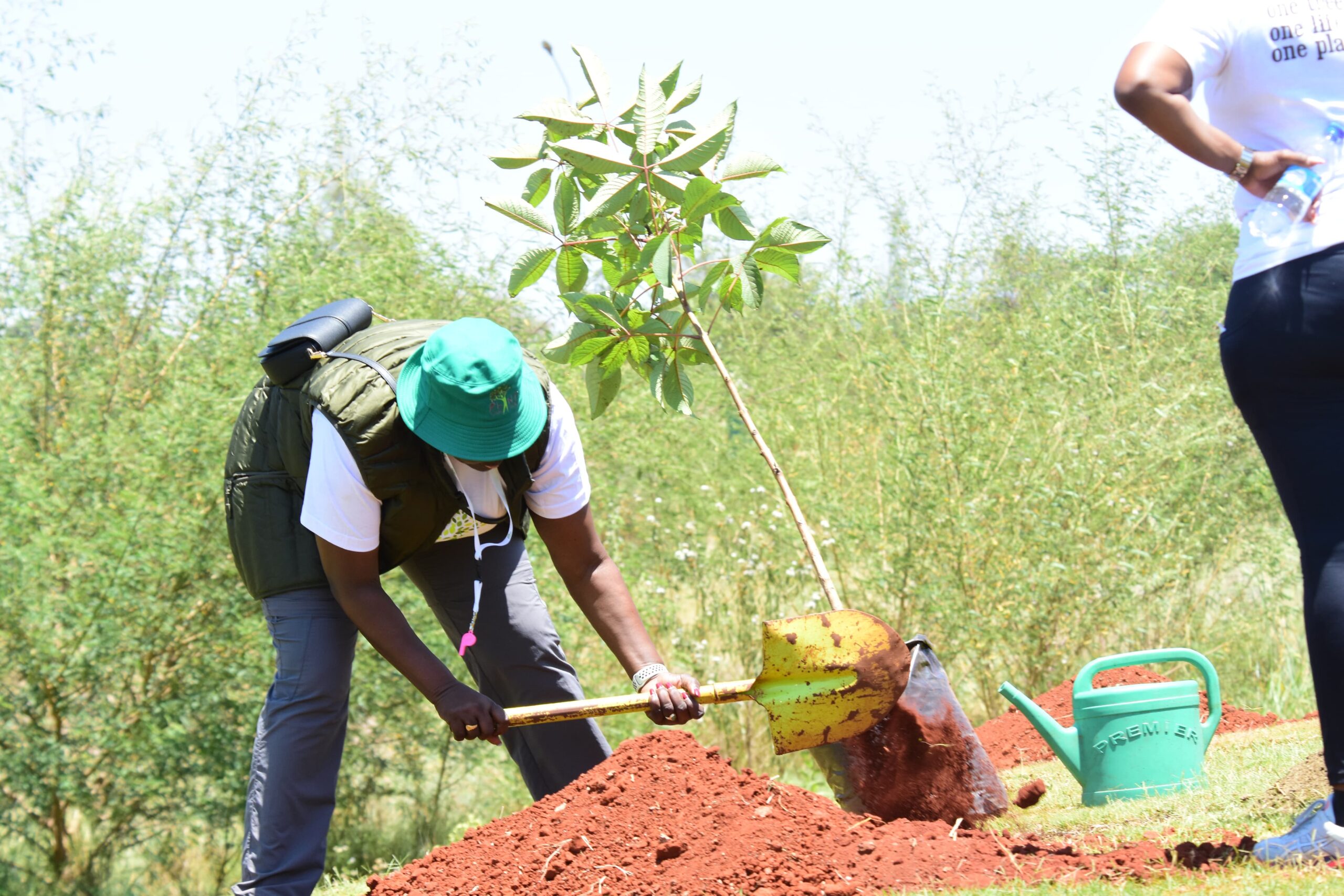 Plant your Age 2024 Tatu City Susan Plant trees