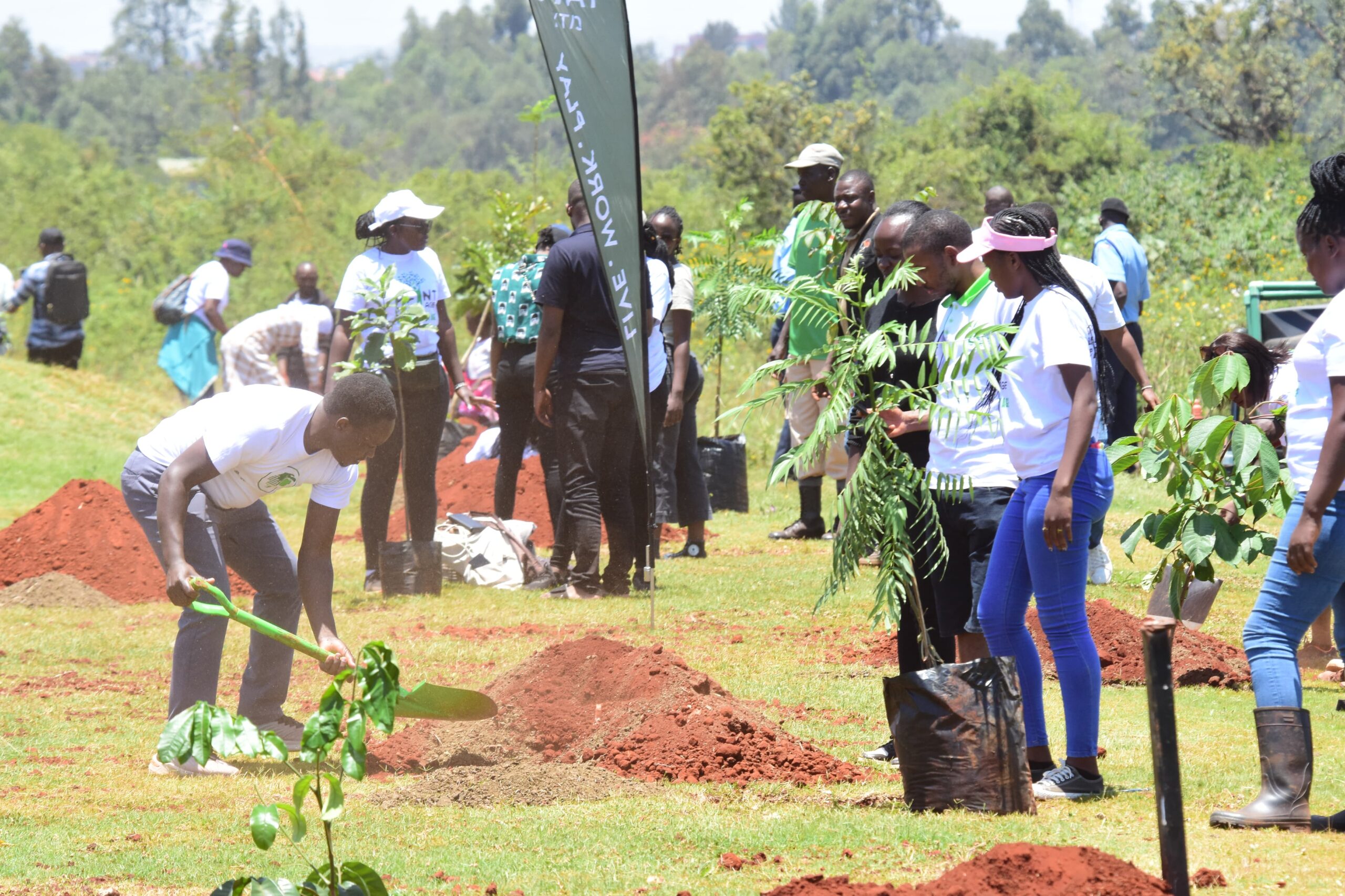 Plant your Age 2024 Tatu City actual tree planting 3