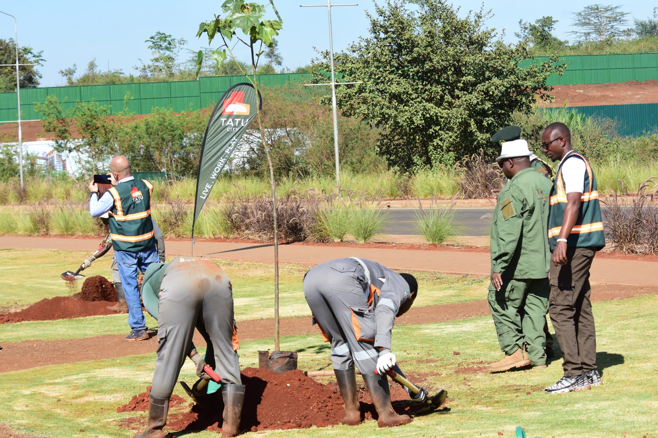 Plant your Age 2024 Tatu City tree planting