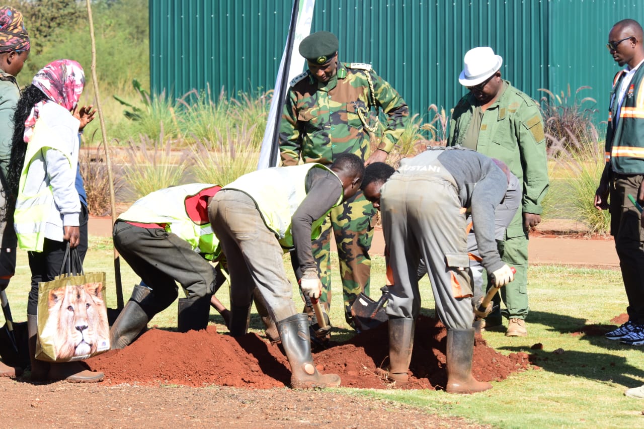 planting trees of your Age one tree one life one planet tatu city plant tree