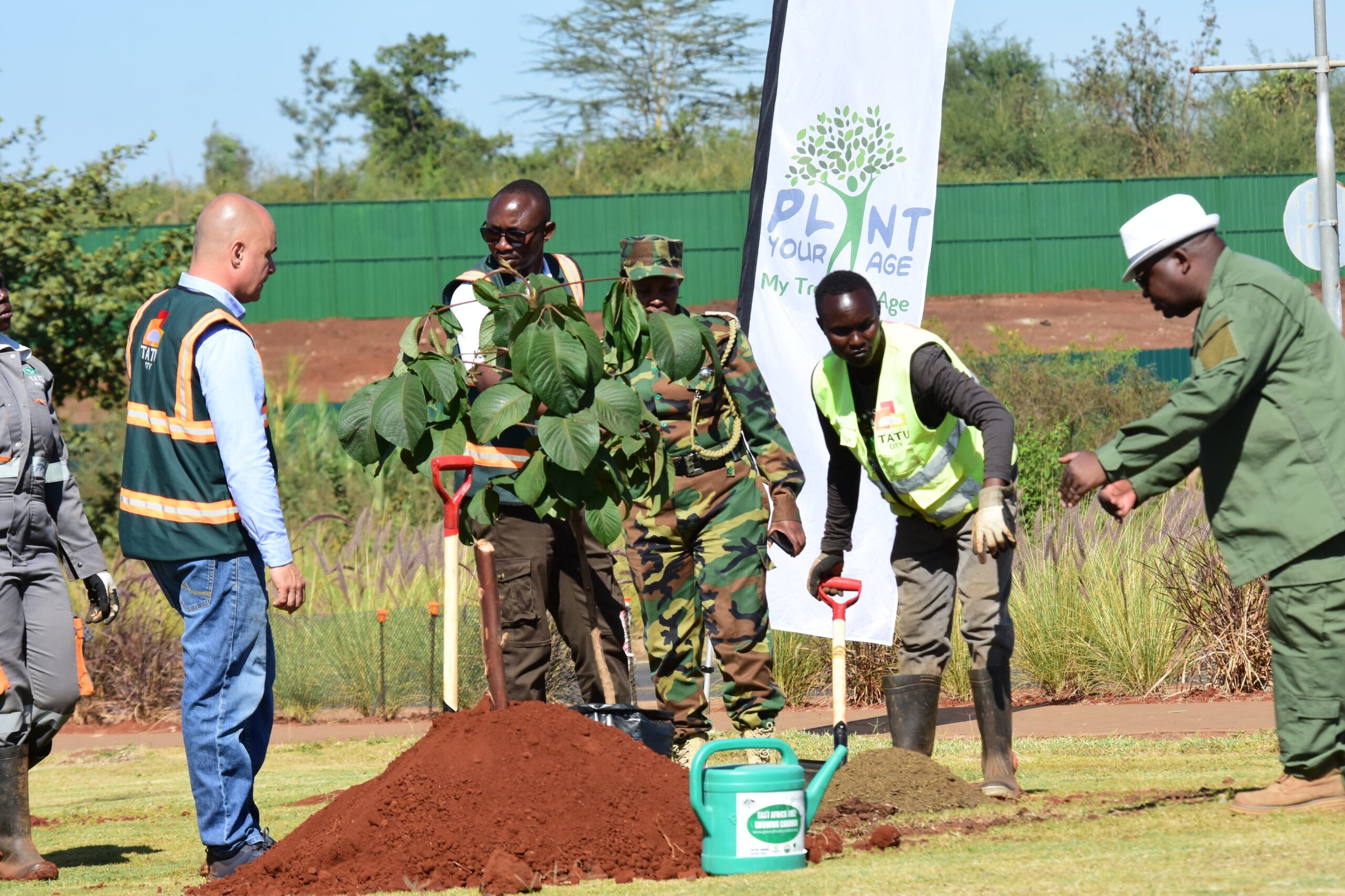 planting trees of your Age one tree one life one planet tree growing