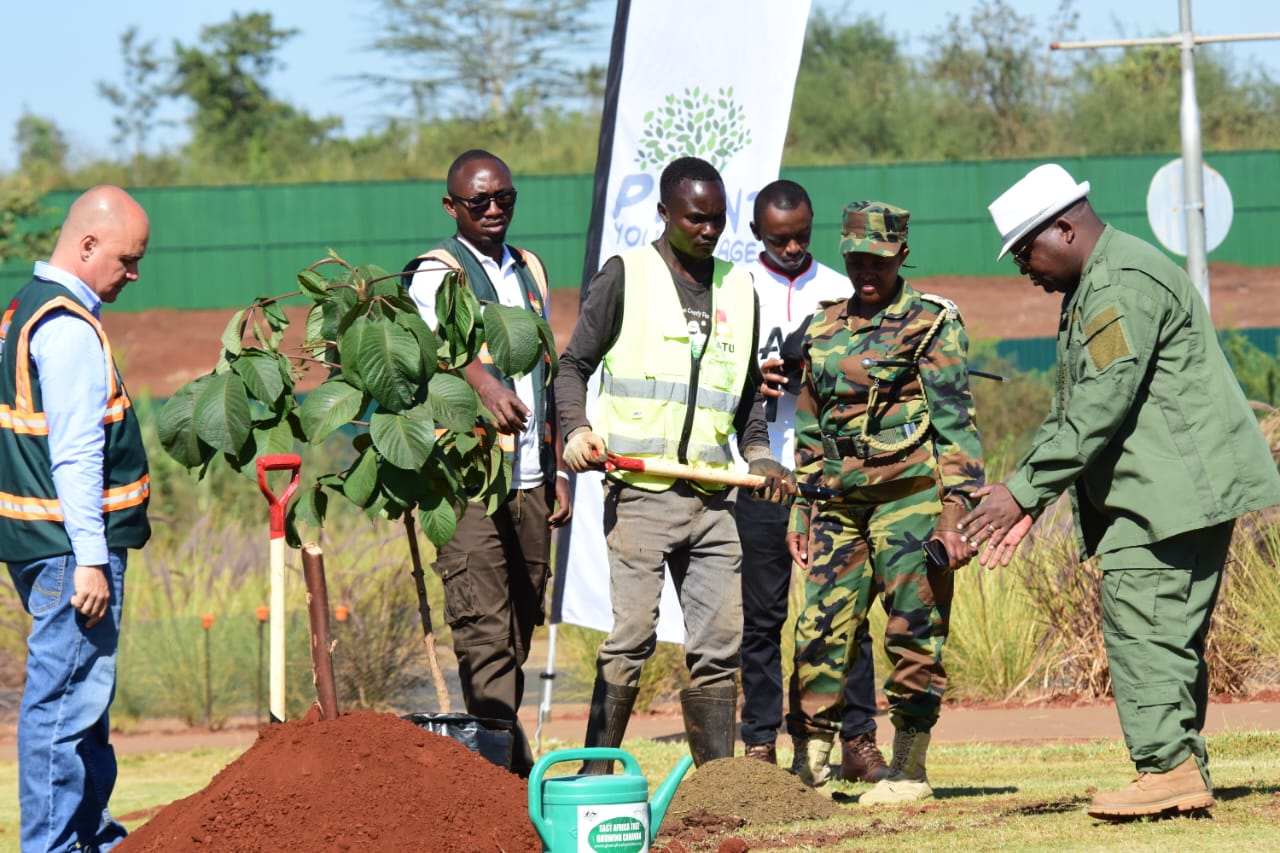 planting trees of your Age one tree one life one planet. planting trees