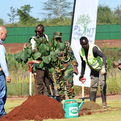 planting trees of your Age one tree one life one planet tree growing