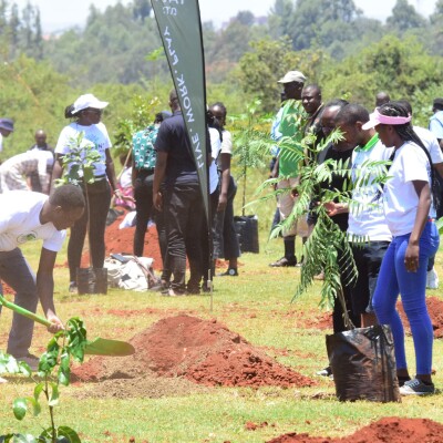 Plant your Age 2024 Tatu City actual tree planting 3