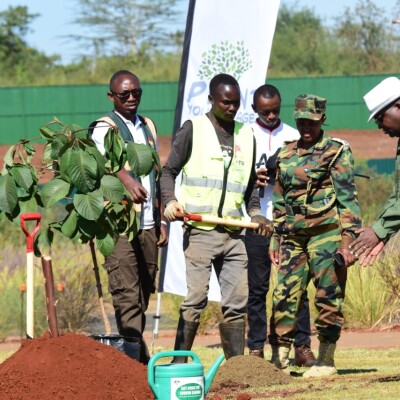 planting trees of your Age one tree one life one planet. planting trees