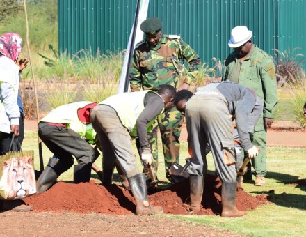 planting trees of your Age one tree one life one planet tatu city plant tree