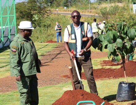 planting trees of your Age one tree one life one planet. planting trees