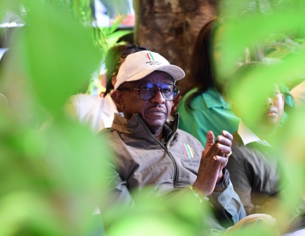 Dr green Clap Plant Your Age Making Moments 2026
