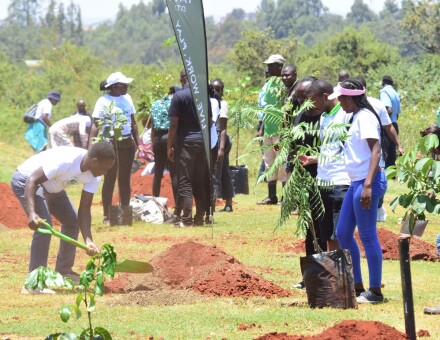 Plant your Age 2024 Tatu City actual tree planting 3