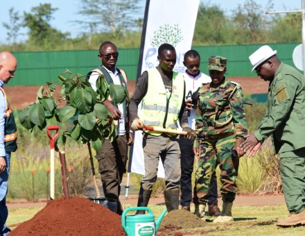 planting trees of your Age one tree one life one planet. planting trees